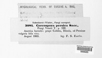 Image Associated With the Occurence